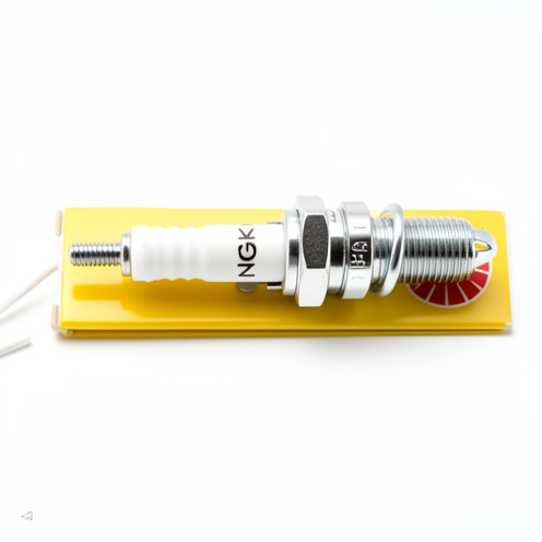 Bujia D8TC