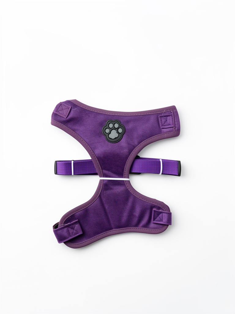 Pechera morada de Terciopelo