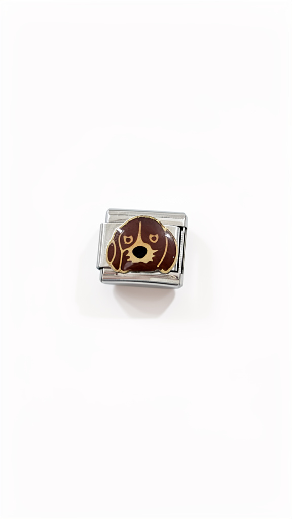 Charm perrito