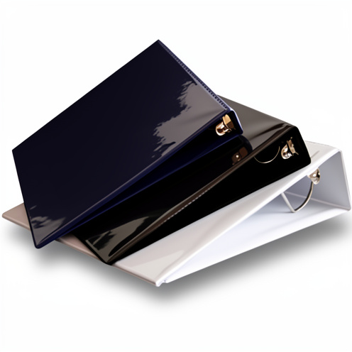 FOLDER 105/BLANCO Y NEGRO
