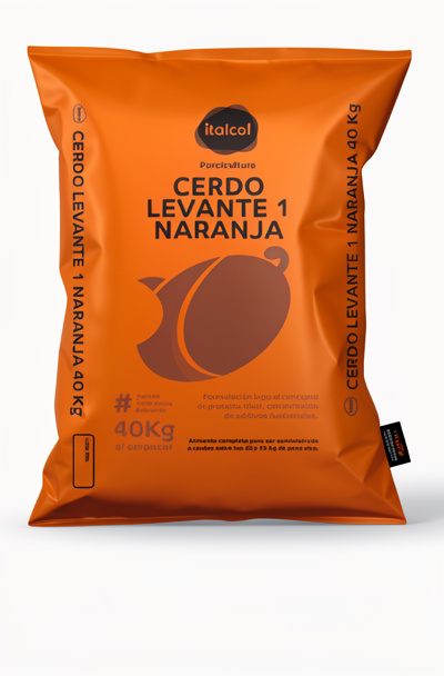 Cuido cerdo ital levate bul