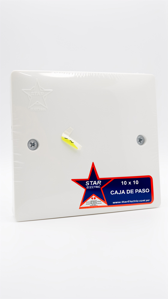 CAJA DE PASO  10 X 10
