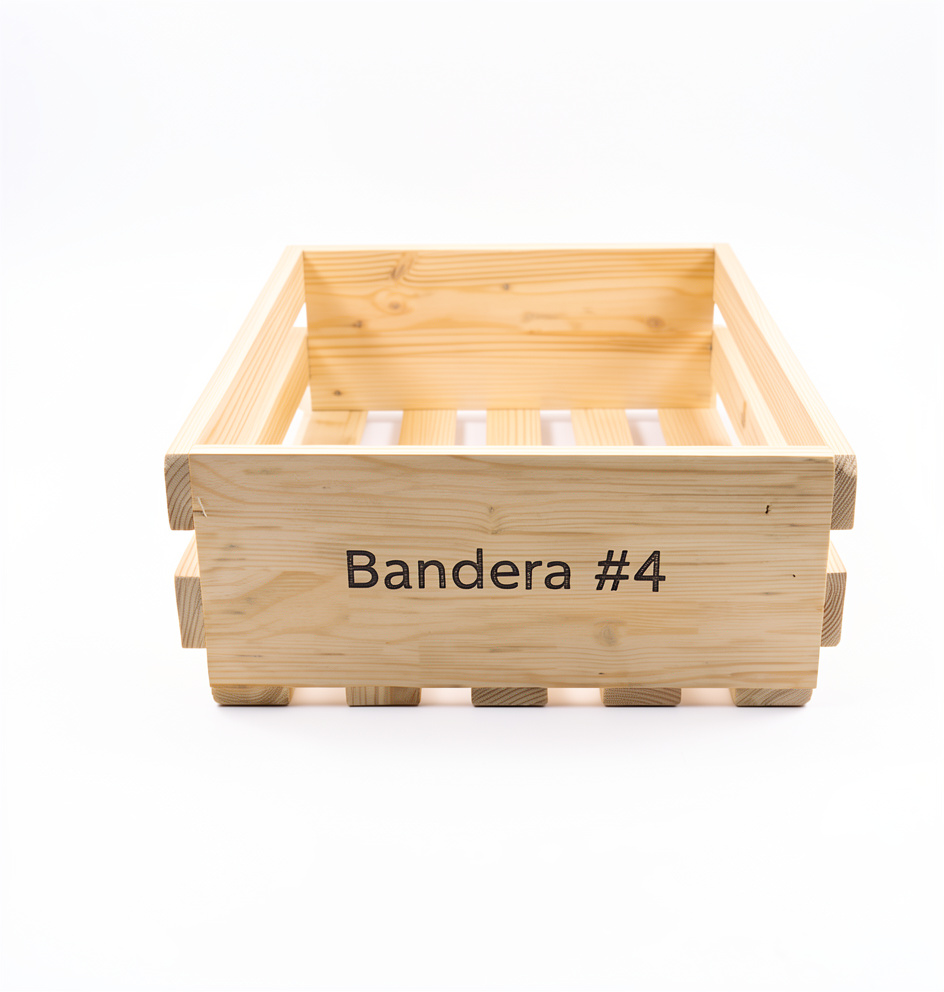 Bandeja #4