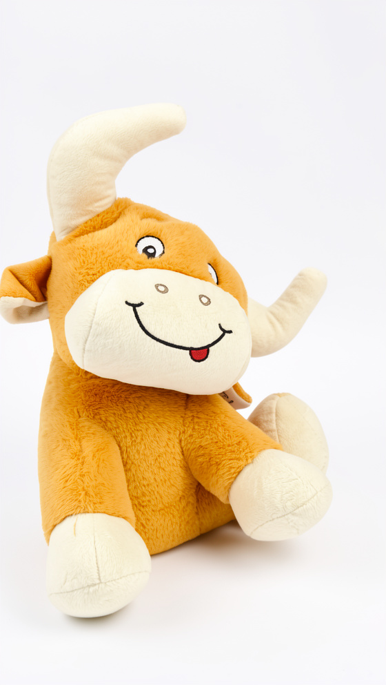 TORITO