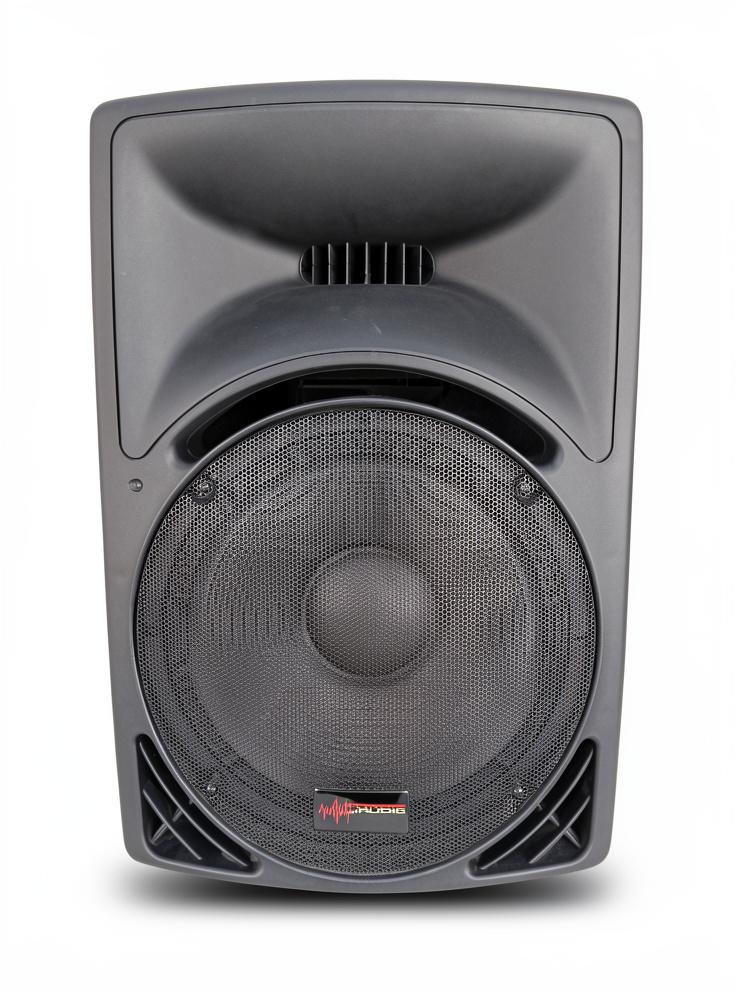 CAJON C/CORNETA PREAMPLIFICADA EXTREME AUDIO