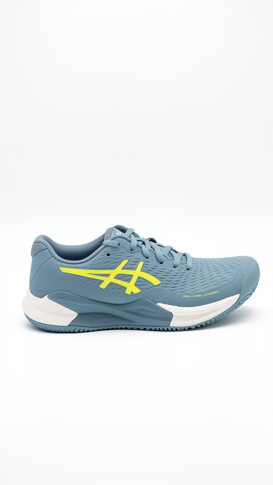 Asics Gel Challenger 14 clay Women Gris blue