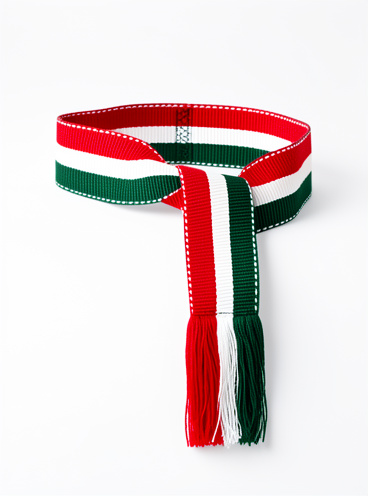 Faja tricolor mexicana 2 metros