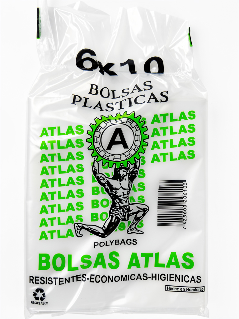 bolsas lisa 6x10