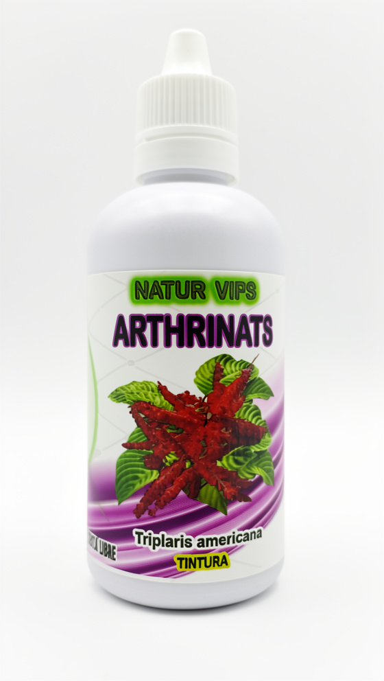 Arthrinats - Triplaris americana