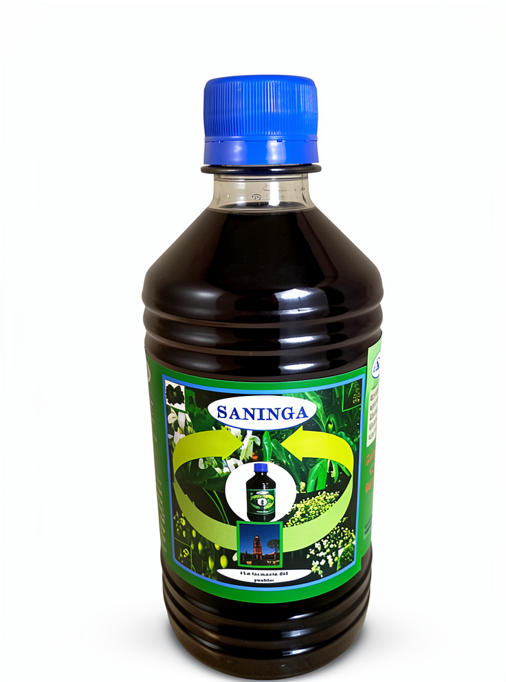 Saninga