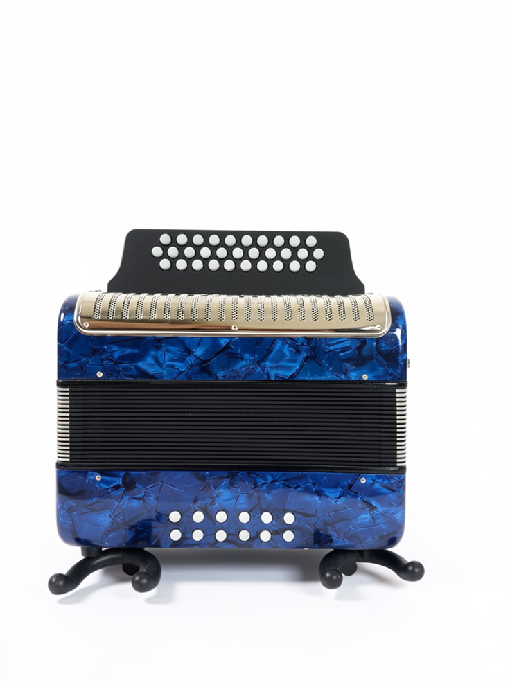 ACORDEON PARA ADULTO