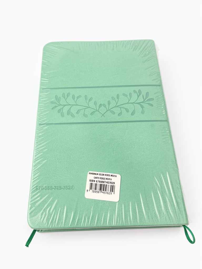 Biblia verde menta/canto verde menta