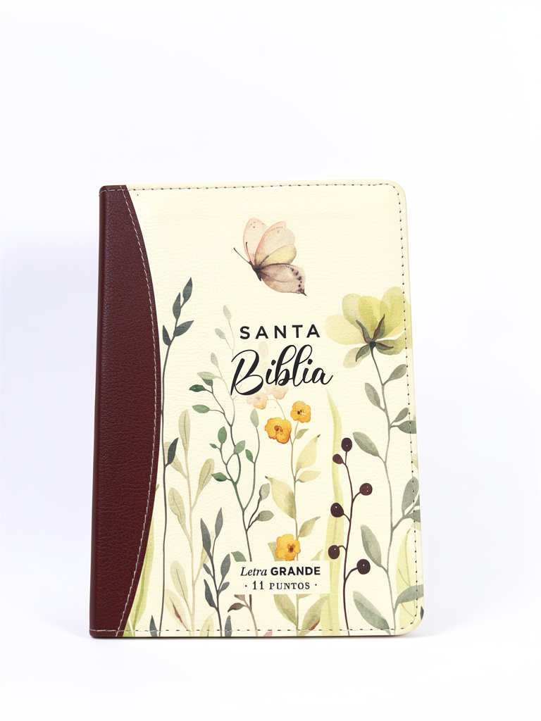 Biblia primavera marrón