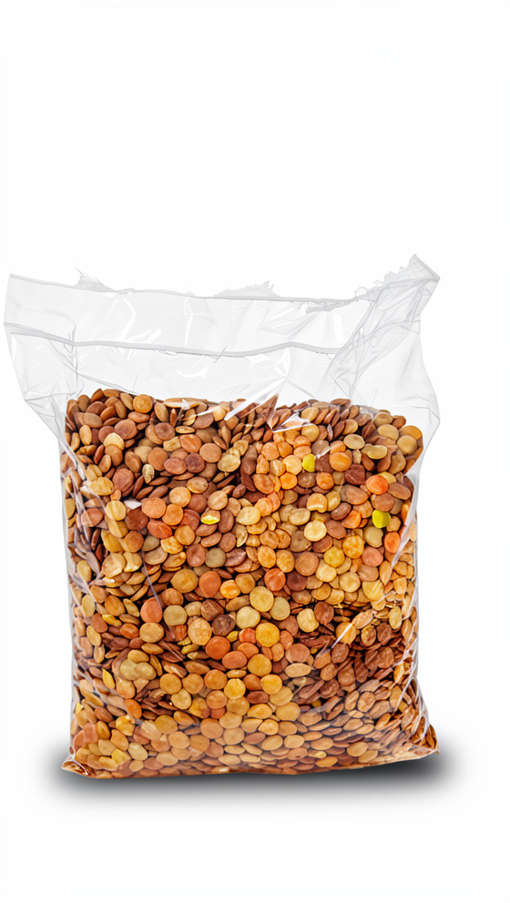 Lentejon nacional x  500g
