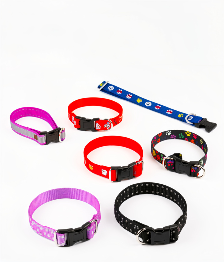 COLLAR PARA GATO