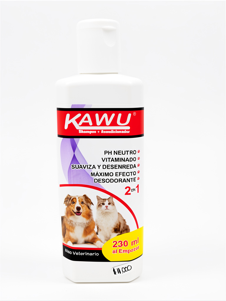 Shampoo Acondicionador 2 en 1