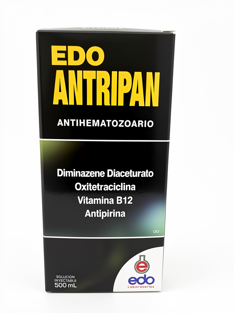Edo Antripan