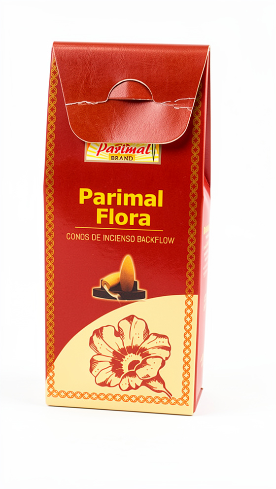 Parimal Cono Ganesha