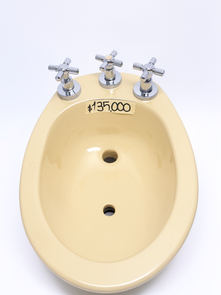 Bidet ferrum