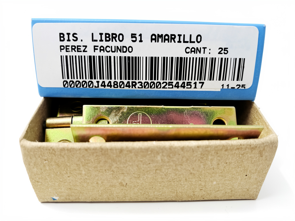 Bisagra libro 51
