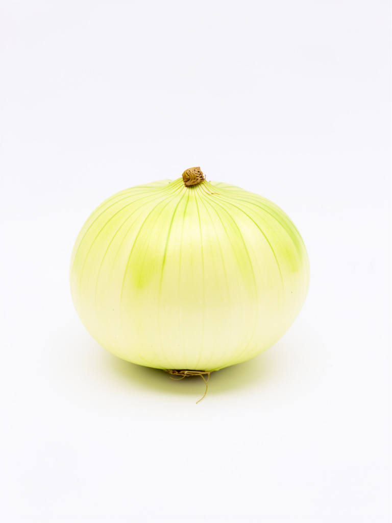 CEBOLLA