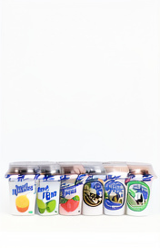 Yogurt sabores 6 onzas