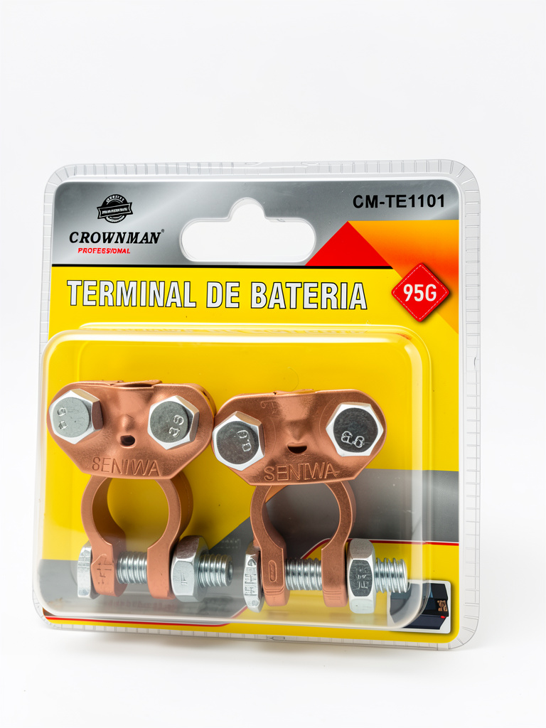 TERMINALES BORNE DE BATERI