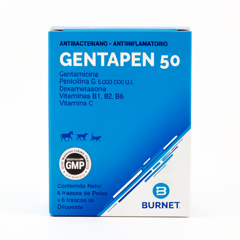 Gentapen 50  - BURNET