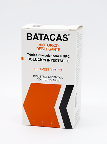 Batacas INY x 50cc Chinfield