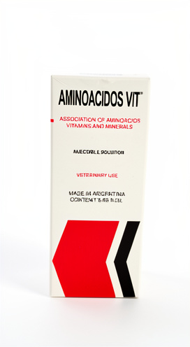 Aminoácidos Vit x 250ml chinfield