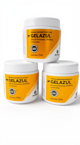 GEL AZUL x 250 grs - Burnet