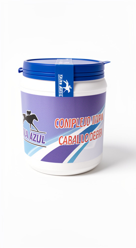 Maicito Tapa Azul x 500grs