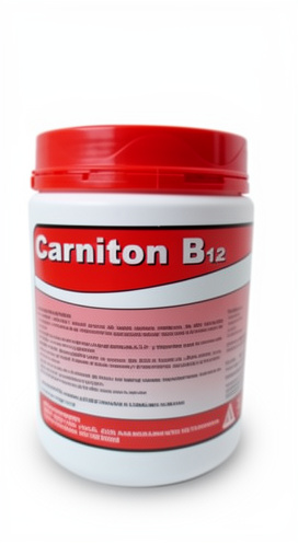 CARNITON B 12 X 500GRS- INDUVET