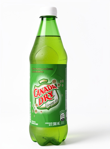 Canadá Dry 500Ml