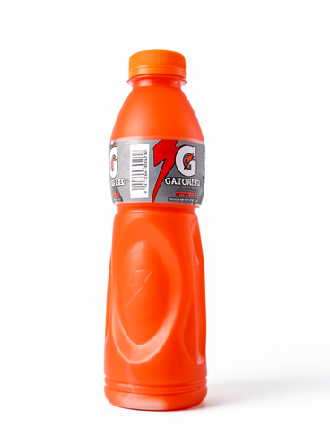 Gatorade Fruit Punch 591Ml