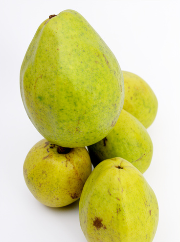 Guayaba libra