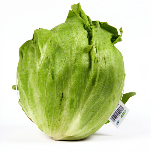 Lechuga libra 500 gr