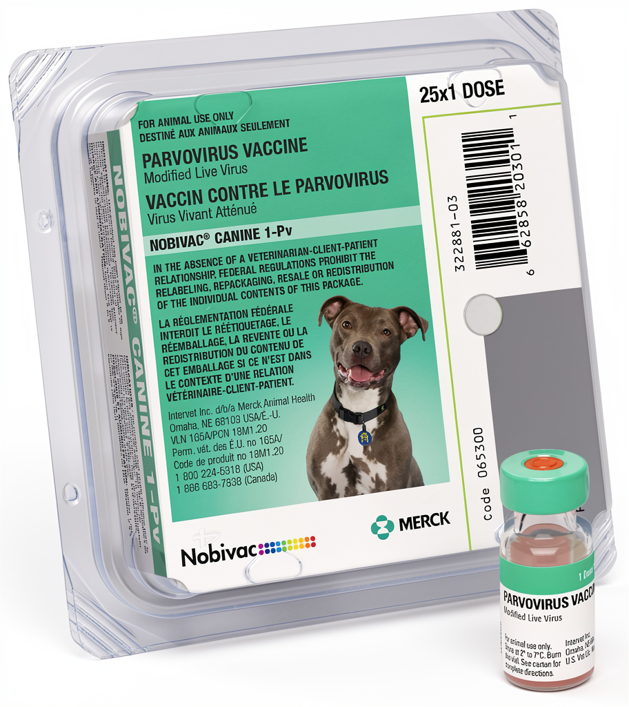 Nobivac vacuna parvovirus canino