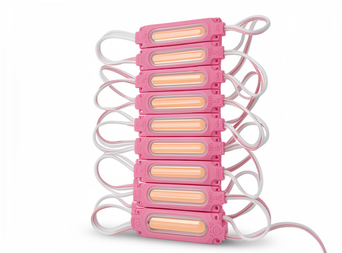 Luz les rosa