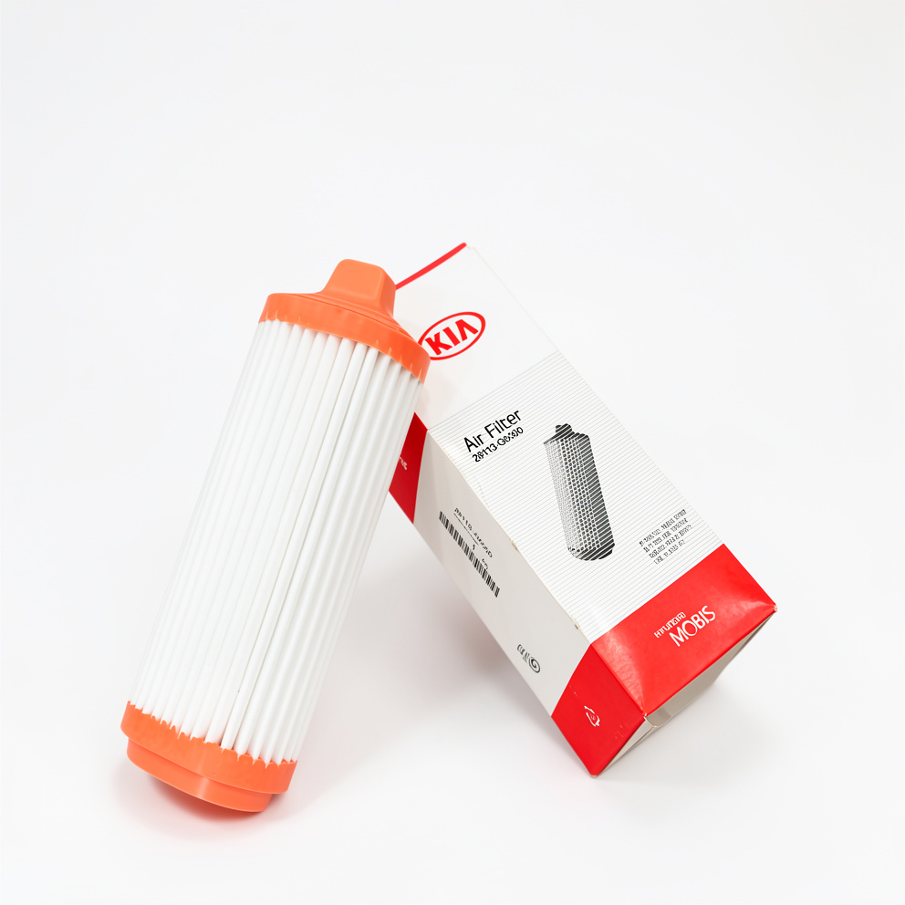 Filtro aire Hiundai Kia  10 28113-G6000