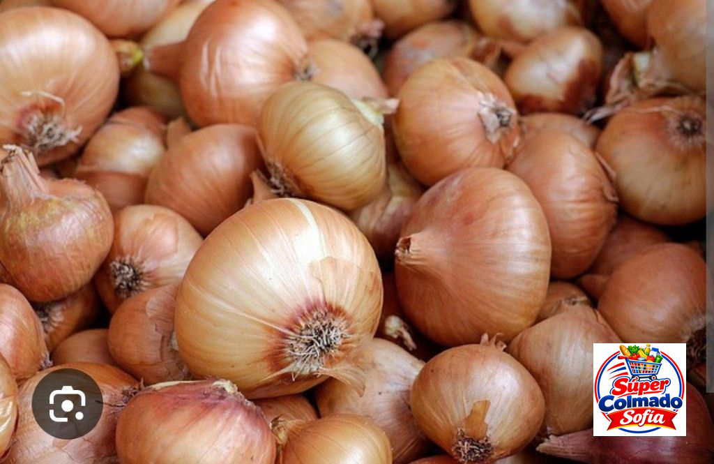 Cebolla