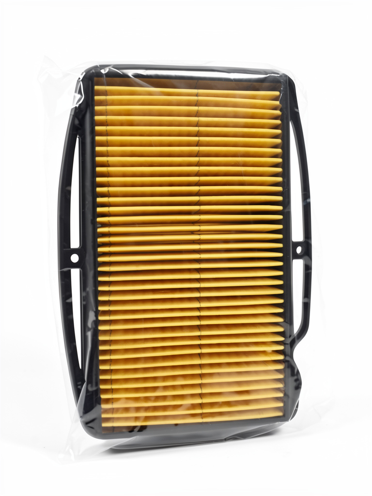 Filtro de aire Rx150/200 Next