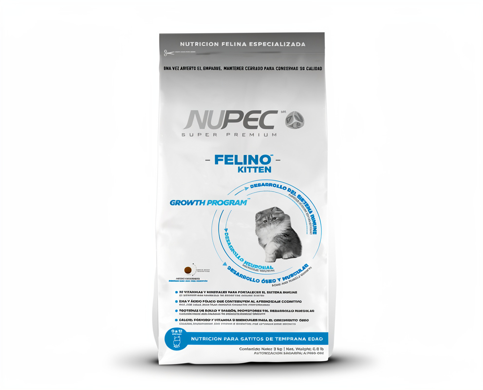Nupec Kitten Felino