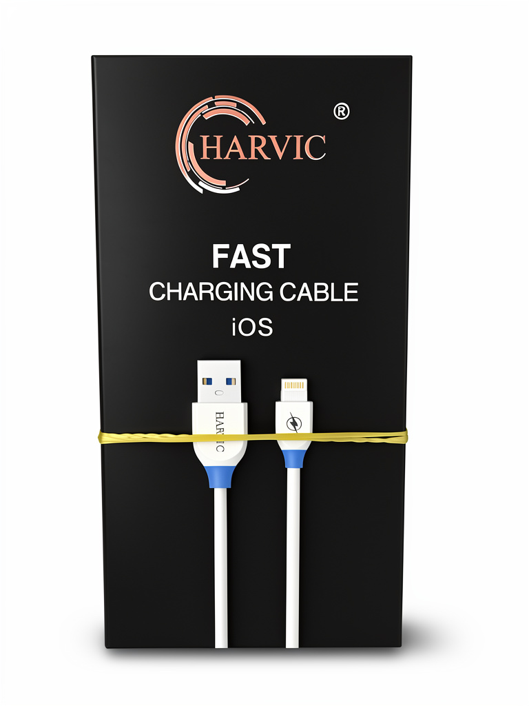 CABLE USB A LIGHTING CB-100