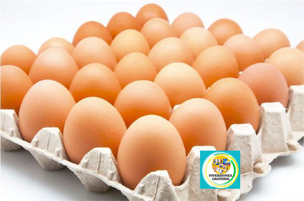 Huevos detallados