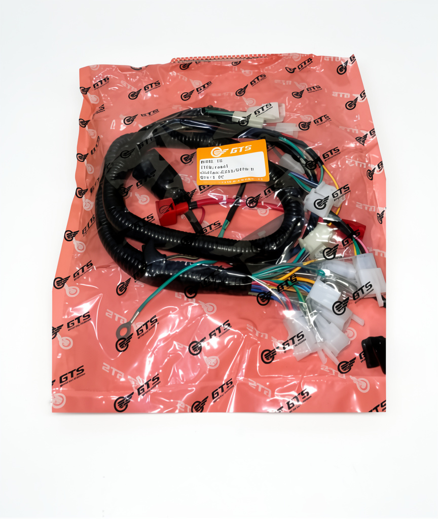 RAMAL CG GTS RG-87