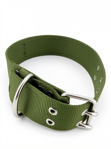 Collar reforzado para perro