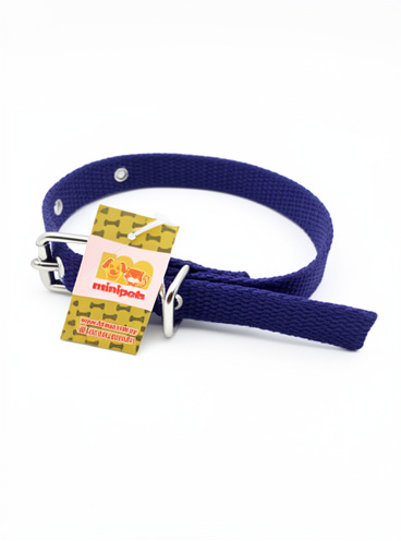 Minipets collar 35mm