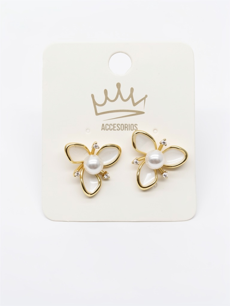 Aretes b058tp