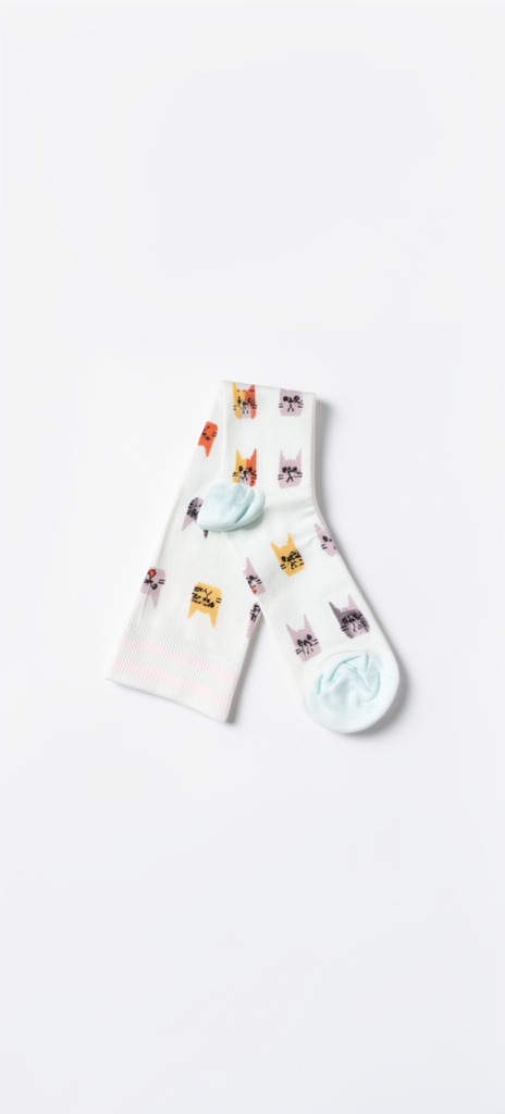 M17 gatitos
